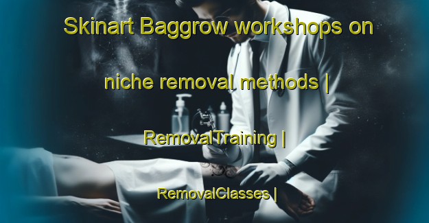 Skinart Baggrow workshops on niche removal methods | RemovalTraining | RemovalClasses | SkinartTraining-United Kingdom